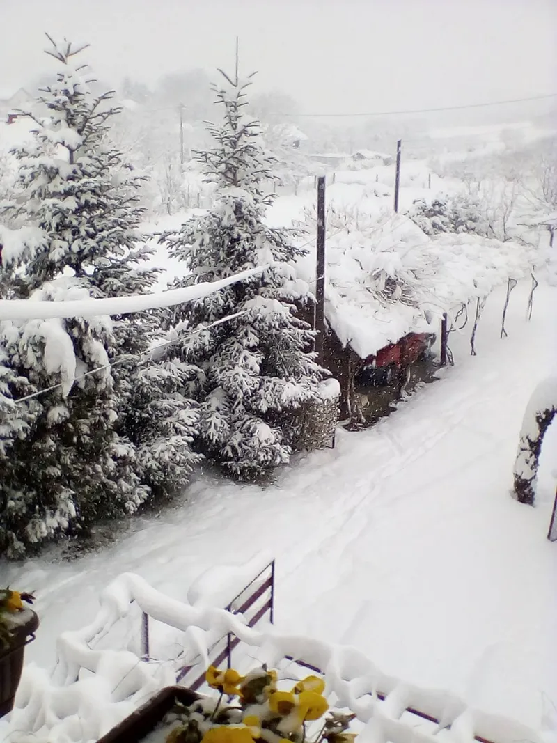Fotografija apartmana 9