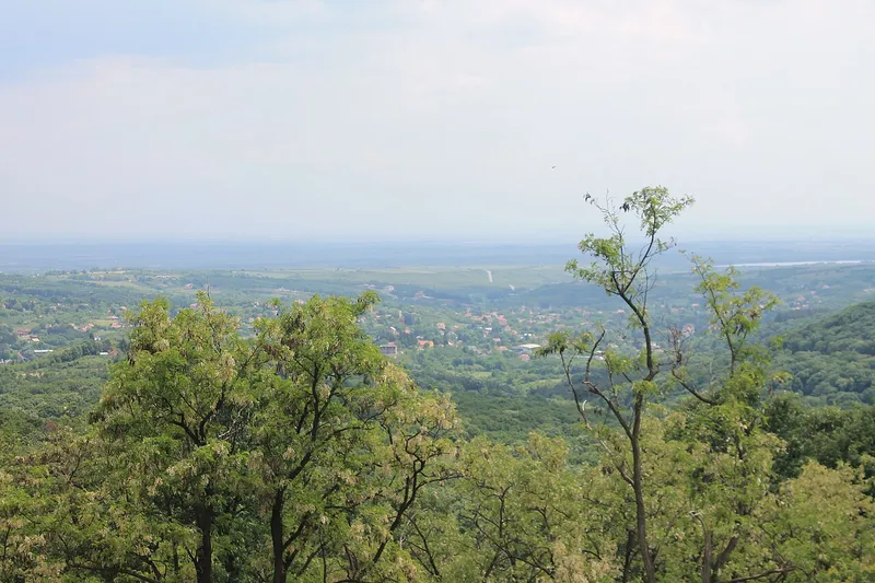 Vidikovac Zmajevac na Fruškoj gori