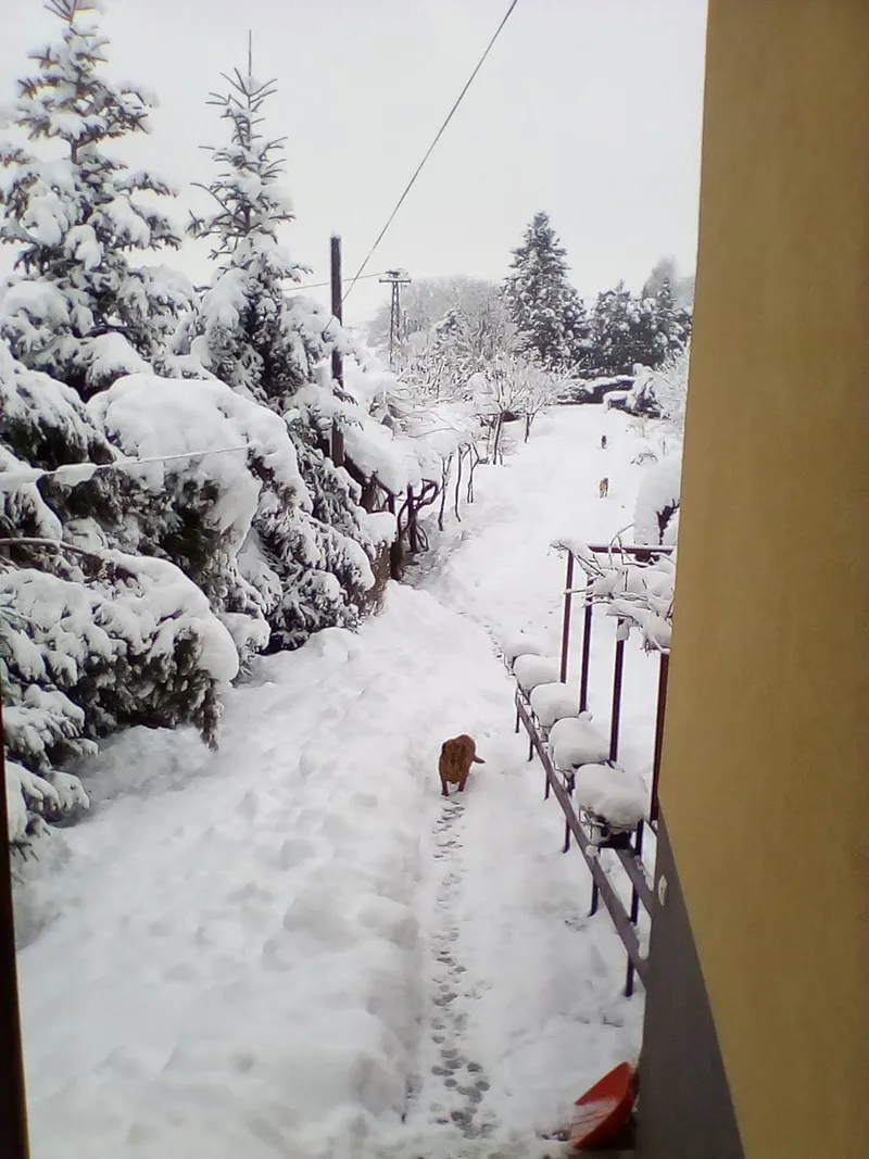 Fotografija apartmana 19